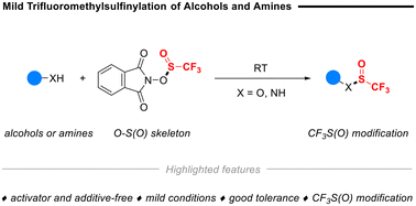 Graphical abstract: Mild trifluoromethylsulfinylation of alcohols and amines via N-hydroxyphthalimide-O-trifluoromethanesulfinate