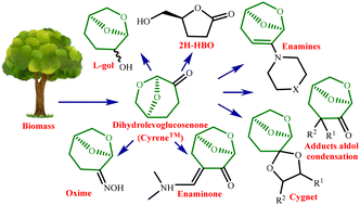 Graphical abstract: Recent applications of Cyrene as a chiral synthon