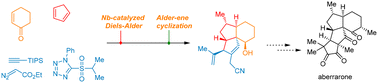 Graphical abstract: Synthesis of the tricyclic skeleton of aberrarone