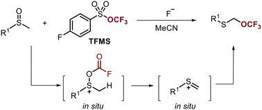 Graphical abstract: Synthesis of α-trifluoromethoxy-sulfide through the Pummerer rearrangement