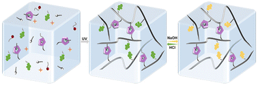 Graphical abstract: Supramolecular multicolor fluorescent hydrogels with a single fluorescent group based on host–guest interactions