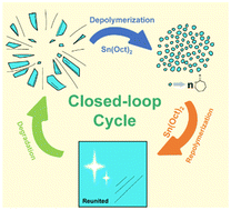 Graphical abstract: An efficient “depolymerization–polymerization” closed-loop recycling strategy for selective degradation of polycaprolactone