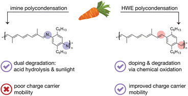 Graphical abstract: Impact of imine bonds on the electronic properties of degradable carotenoid-based conjugated polymers