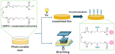 Graphical abstract: Photo-curable resins based on poly(globalide) for 3D printing of resorbable scaffolds: synthesis, crosslinking and post-functionalization