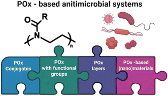 Graphical abstract: New trends in research on poly(2-oxazoline)s with antimicrobial activity