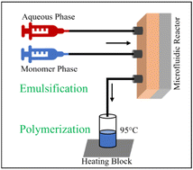Graphical abstract: Microfluidic-supported emulsion polymerization: molecular weight and concentration of surface-capping agents impact the formation of anisotropic polyvinylmethacrylate particles