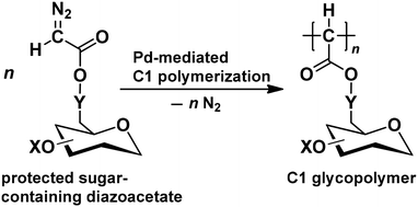 Graphical abstract: Pd-initiated C1 polymerization of diazoacetates with hydroxy-protected sugar substituents: syntheses of a new type of protected sugar-containing C1 polymer (C1 glycopolymer)