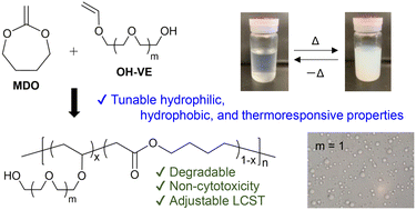 Graphical abstract: Design and synthesis of thermoresponsive degradable copolymers: integrating hydroxy-functional vinyl ethers with cyclic ketene acetals