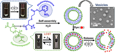 Graphical abstract: Dual-responsive amphiphilic cysteine block copolypeptide: self-assembled vesicles for dye encapsulation and photo-triggered release
