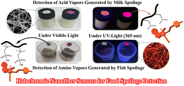 Graphical abstract: Halochromic oxazolidine nanofibers as portable smart chemosensors for dual-mode colorimetric and fluorimetric detection of food spoilage: investigation of solid-state pH responsivity in polar microenvironments