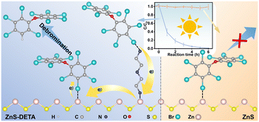 Graphical abstract: N⋯Br halogen bond enhanced visible-light degradation of decabromodiphenyl ether on organic amine intercalated zinc sulfide