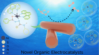 Graphical abstract: Synthesis of novel organic Ni(ii) N-isonicotinoylhydrazine-carbothioamide complexes and their application in the oxygen evolution reactions