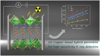 Graphical abstract: Inch-sized single crystals of radiation-sensitive copper-based hybrid perovskites for direct X-ray detection