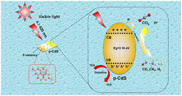 Graphical abstract: Morphological regulation of sulfur-vacancy-rich CdS for tunable CO2 photoreduction under visible light irradiation