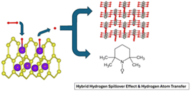 Graphical abstract: Tailoring high-entropy borides for hydrogenation: crystal morphology and catalytic pathways