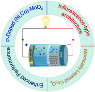 Graphical abstract: Design of an inflorescence-type phosphorus-doped (Ni,Co)–molybdate architecture with an atomically thin cobalt oxide layer for high-efficiency energy storage systems