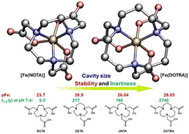 Graphical abstract: The timeless relevance of size-match selectivity in macrocyclic Fe(iii) complexes