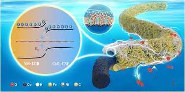 Graphical abstract: Band alignment-driven space charge remodeling in NiFe LDH@CoOx-CNF heterojunction for efficient alkaline oxygen evolution