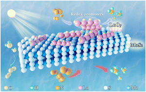 Graphical abstract: Nitrogen-activation and charge-transfer lanthanide oxide promoters for enhanced photocatalytic ammonia synthesis