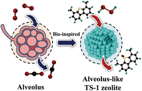 Graphical abstract: Hierarchically porous zeolite featuring an alveolus-like microsphere for efficient oxidative desulfurization
