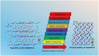 Graphical abstract: A π-conjugated organic molecule-modified strategy to achieve high-performance metal nitrate birefringent crystals