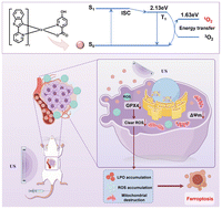 Graphical abstract: Iridium complex-based ferroptosis inducer for cancer sonodynamic therapy