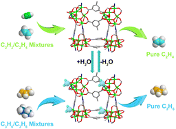 Graphical abstract: Dual-state heptanuclear metal cluster-based MOF materials: open metal site enhanced acetylene/ethylene separation and coordinated water-driven propylene/propane kinetics