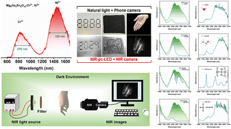 Graphical abstract: A novel dual-mode broadband near-infrared phosphor Mg5Ga2Sn2O12:Cr3+,Ni2+ designed based on an energy transfer strategy
