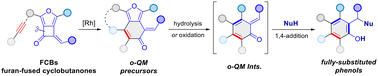 Graphical abstract: Rh(i)-catalyzed [4 + 2]-annulation of furan-fused cyclobutanones with alkynes and synthetic applications