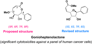 Graphical abstract: Total synthesis and structure revision of gonioheptenolactone