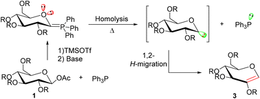 Graphical abstract: Fragmentation of glucosylphosphonium ylides for the synthesis of glycals