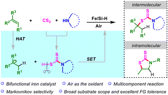 Graphical abstract: Bifunctional iron-mediated multicomponent Markovnikov-selective radical hydrothiolation of alkenes