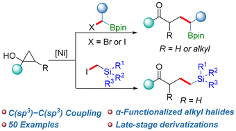 Graphical abstract: Ni-catalyzed C(sp3)–C(sp3) cross-coupling to access γ-carbonyl alkylboronates and alkylsilicons enabled by cyclopropanol-derived homoenolates