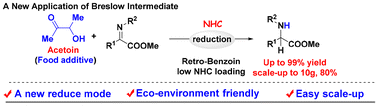 Graphical abstract: Carbene-catalyzed imine reductive reaction: a new application of Breslow intermediates