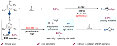 Graphical abstract: Metal and photocatalyst-free alkylboration of [1.1.1]propellane enabled by red-light-induced electron transfer