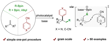 Graphical abstract: Photocatalytic three-component 1,2-boroarylation and carbopyridylation of alkene