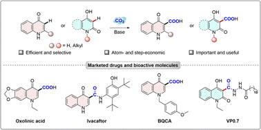 Graphical abstract: Carboxylation of C(sp2)–H bonds in quinolone derivatives with CO2: facile synthesis of quinolone carboxylic acids
