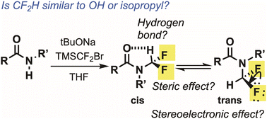 Graphical abstract: Conformational preference of N-difluoromethylated amides: contributions of hydrogen-bonding, steric, and stereoelectronic effects