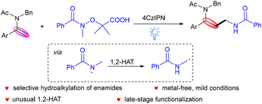 Graphical abstract: Photocatalytic anti-Markovnikov hydroalkylation of 2-aryl enamides via 1,2-hydrogen atom transfer of amidyl radicals