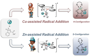 Graphical abstract: Unraveling the divergent mode of Cu- or Zn-assisted radical addition of imines: a mechanistic perspective on Lewis acidic metal-induced enantioselectivity