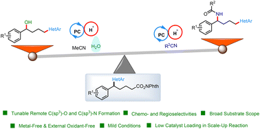 Graphical abstract: Brønsted acid enabled metal-free remote oxygenation and amidation of unstrained C–C bonds via 1,4-heteroaryl migration chaperoned radical-polar crossover