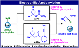 Graphical abstract: Modular access to functionalized azetidines via electrophilic azetidinylation