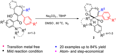 Graphical abstract: Construction of spirotetrahydroquinolines fused with medium-sized rings via TBHP/base-promoted spirocyclization reactions