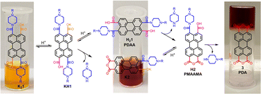 Graphical abstract: Perylene dianhydride hydrogels obtained from accessible perylene diamic acid salts by a versatile protonation–hydrolysis mechanism