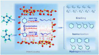 Graphical abstract: Chemistry of catalytic cracking of cyclohexene and 1-methylcyclopentene