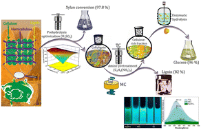 Graphical abstract: Stepwise pretreatment involving dilute acid and amine for corn stover fractionation toward full lignocellulose-oriented valorization
