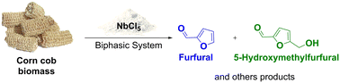 Graphical abstract: Niobium pentachloride in a biphasic catalytic system for valorization of corn cob biomass