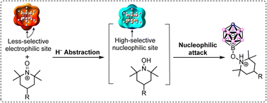 Graphical abstract: Oxidation-induced nucleophilic substitution at the electron-rich B(12) vertex in [CB11H12]− under catalyst-free conditions