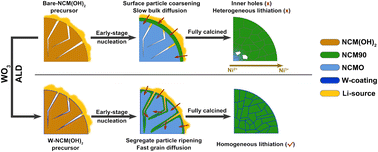 Graphical abstract: Enabling uniform lithiation in solid-state synthesis by preventing pre-matured surface grain coarsening through grain boundary engineering