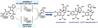 Graphical abstract: α-N-phthalimido-oxy isobutyrate-mediated deoxygenative arylation: total synthesis of alanenses A and B